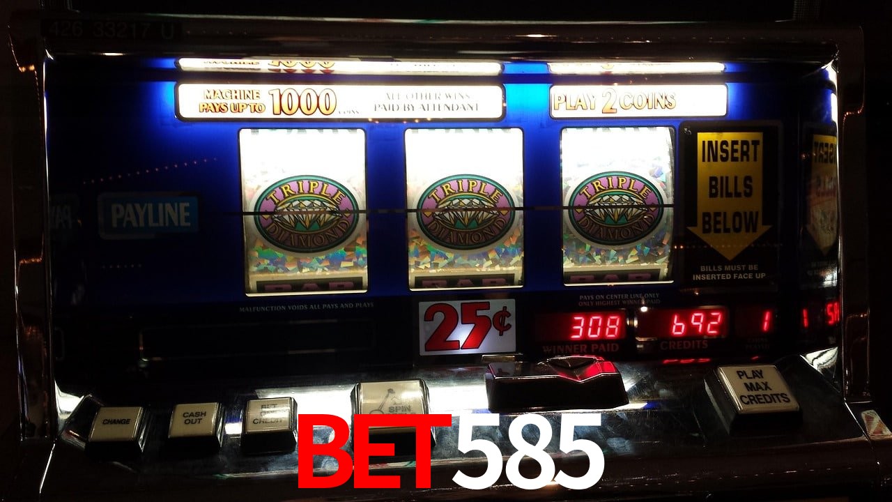 Statistics bet585